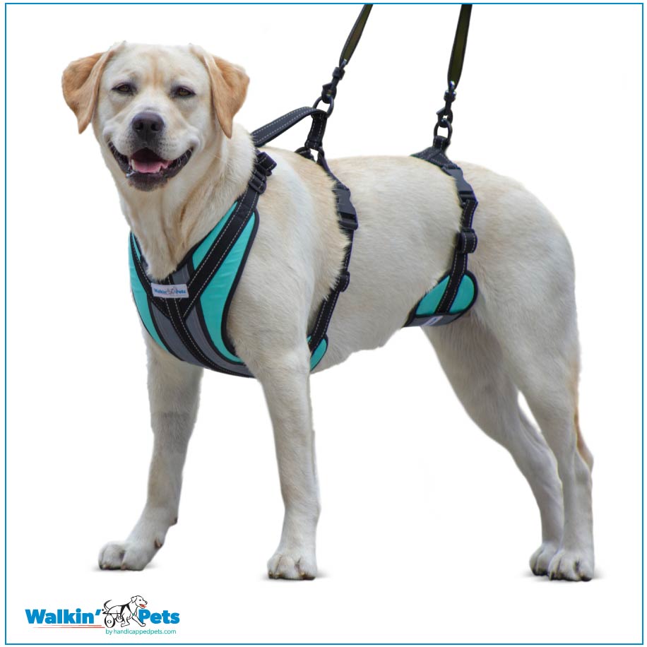 Walkin' Lift-N-Step Harness - Handicapped Pets Australia