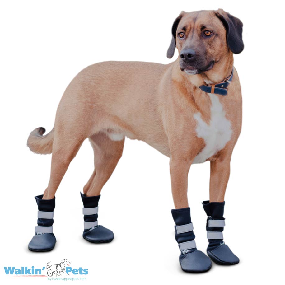 Walkin' Dog Boots  Set of 4 - Handicapped Pets Australia
